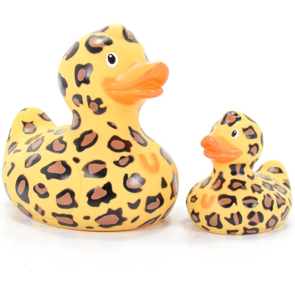 Leopard duck