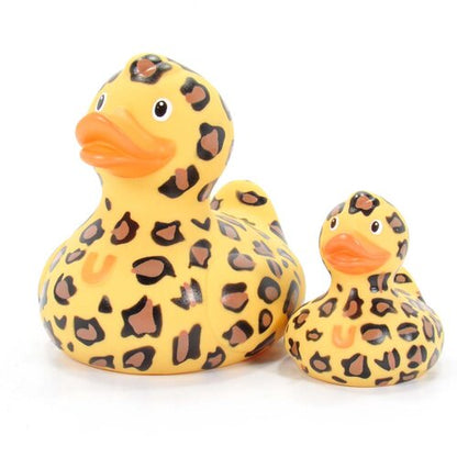 Leopard duck