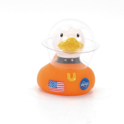 Mini Canard Space