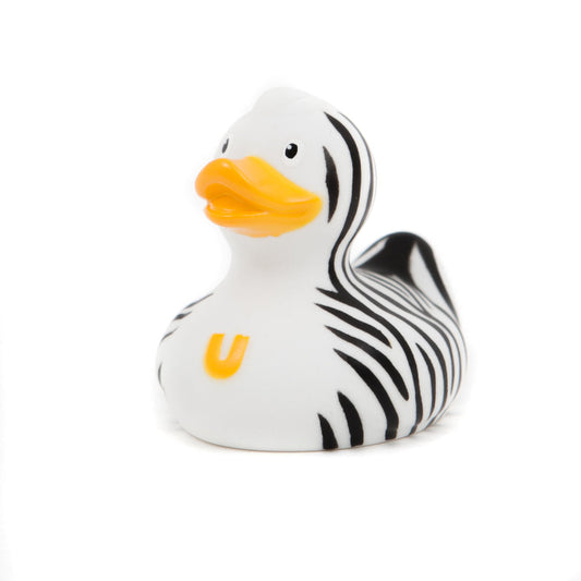 Mini Zebre de pato