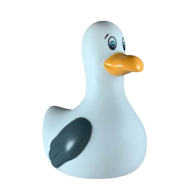 Meeuwenbad