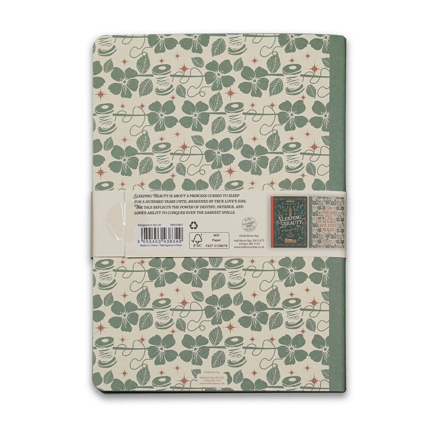 Lot de 2 carnets A5 La Belle au bois dormant