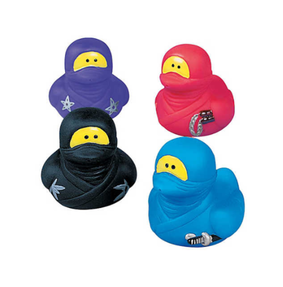 Mini Duck Ninja