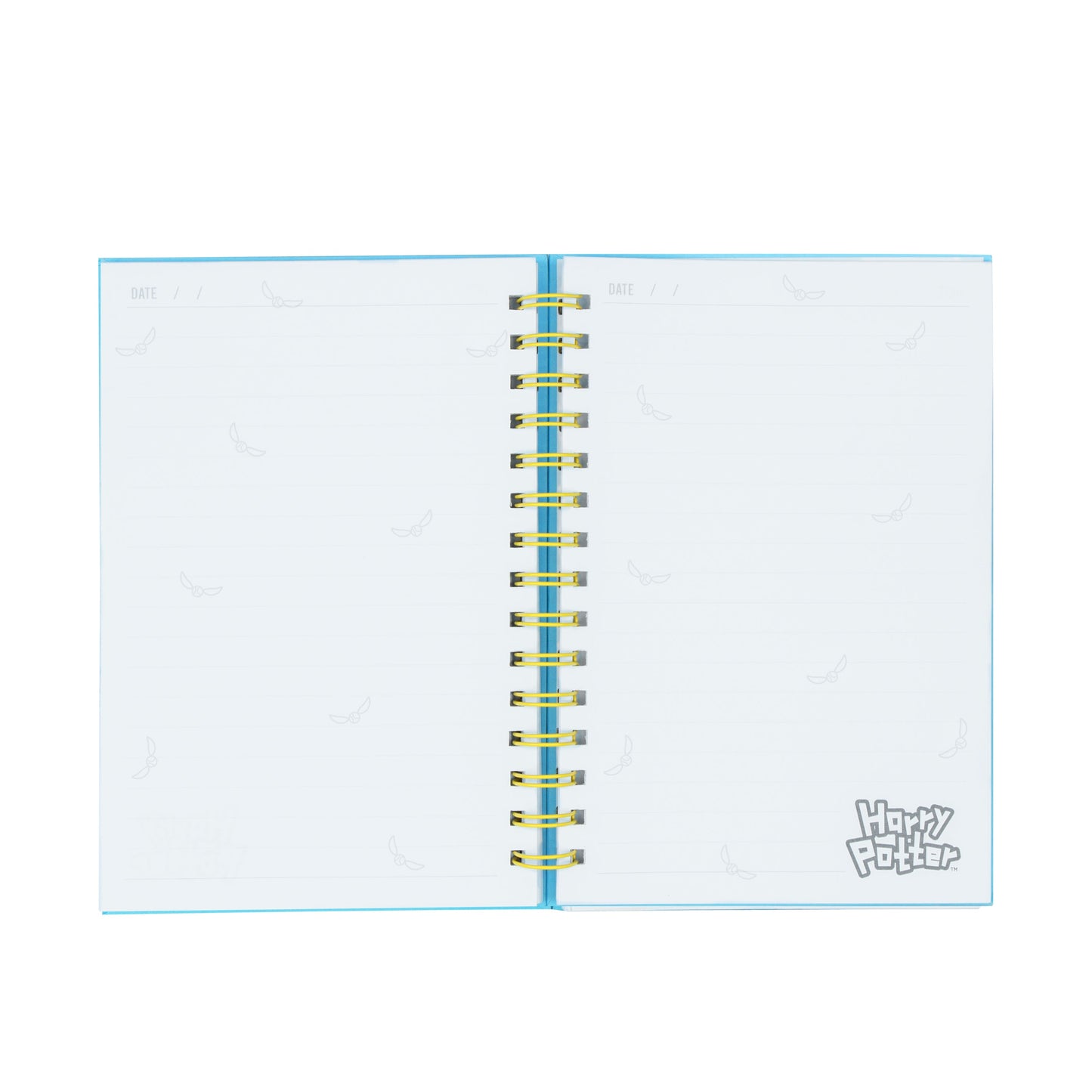 Carnet Harry Potter et ses amis