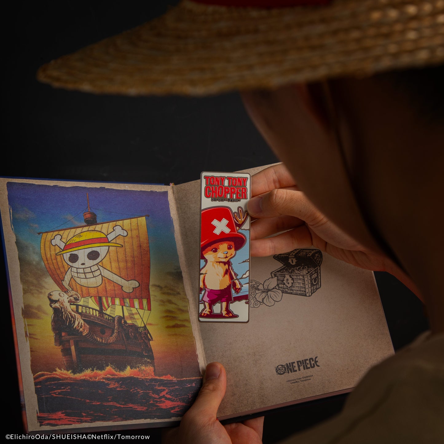 Marque-page en métal Tony Tony Chopper