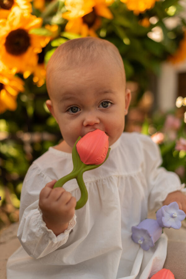 Theo il tulipano