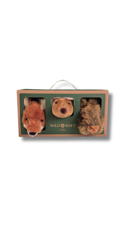 Mini têtes décoratives : Coffret Forest - Wild & Soft