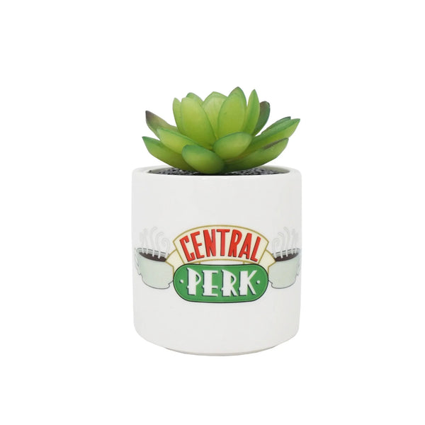 Maceta con plantas artificiales - Central Perk