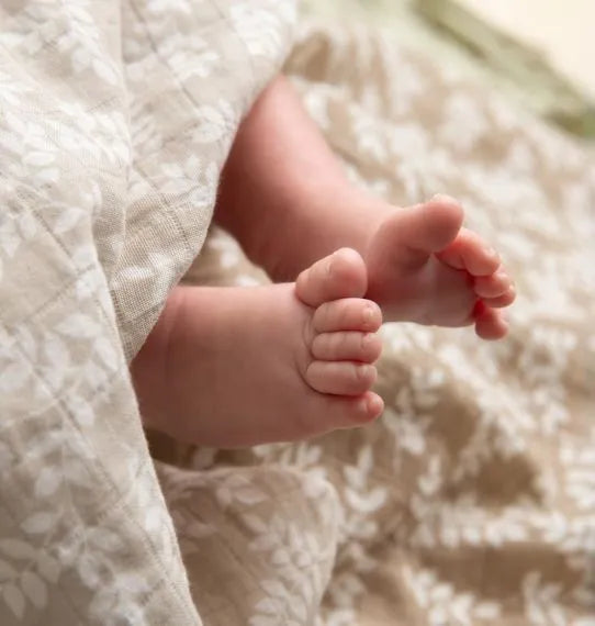 Pacote de 2 swaddles de algodão biológico