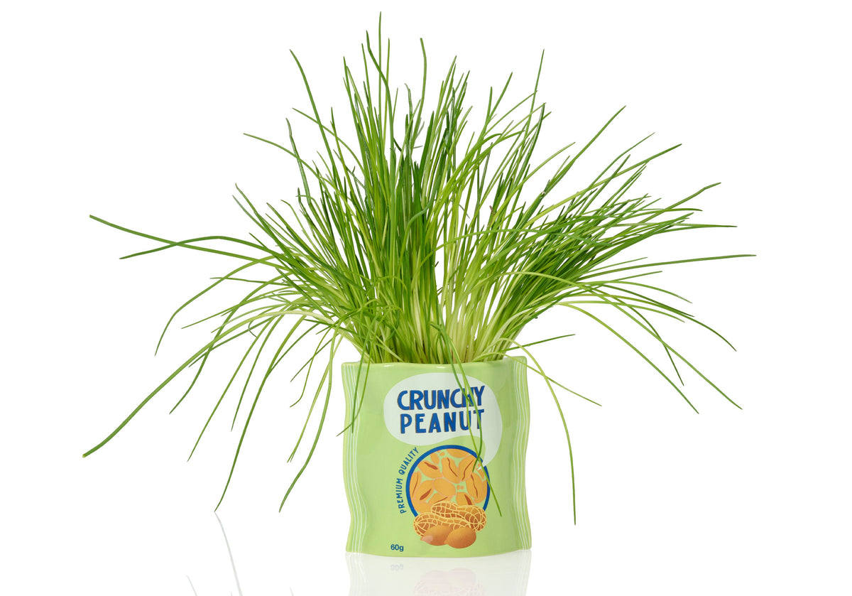 Pot de Fleur Cacahuètes en Céramique – Bitten