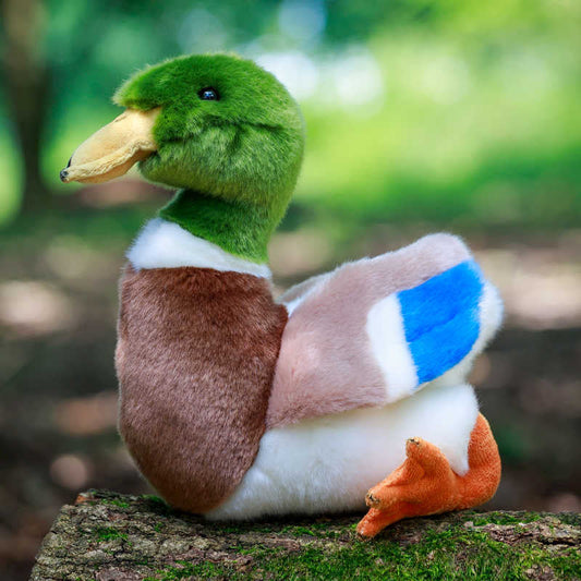 Peluche Pato Ánade Real Animigos