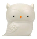 Klein Nachtlampje Hibou