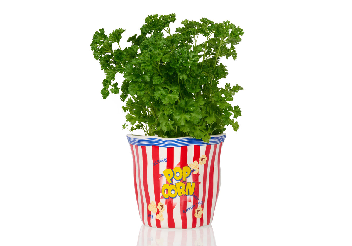 Pot de Fleur Pop-Corn en Céramique