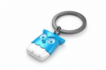 Blue owl key door