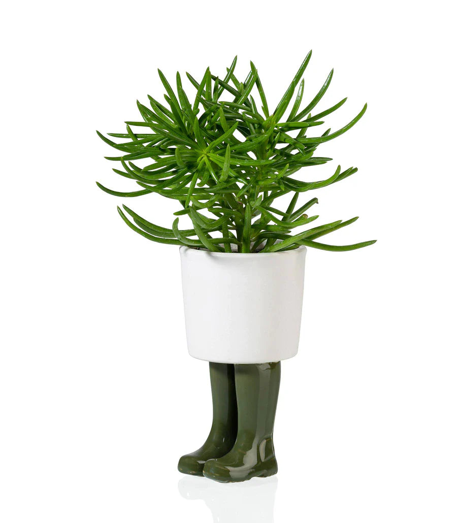Pot de Fleur Bottes Wellington Vert