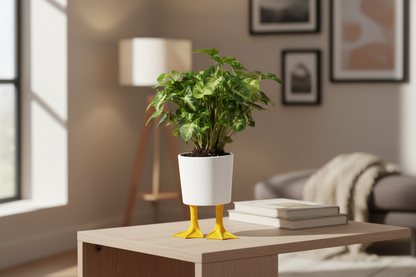 Piernas de pato de frasco de flores