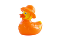 Pato Dia de Chuva « Puddle »