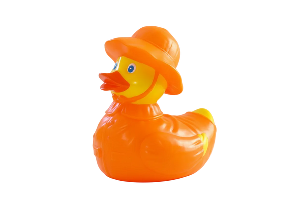Pato de chuva -tempo