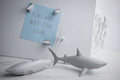 Shark magnets
