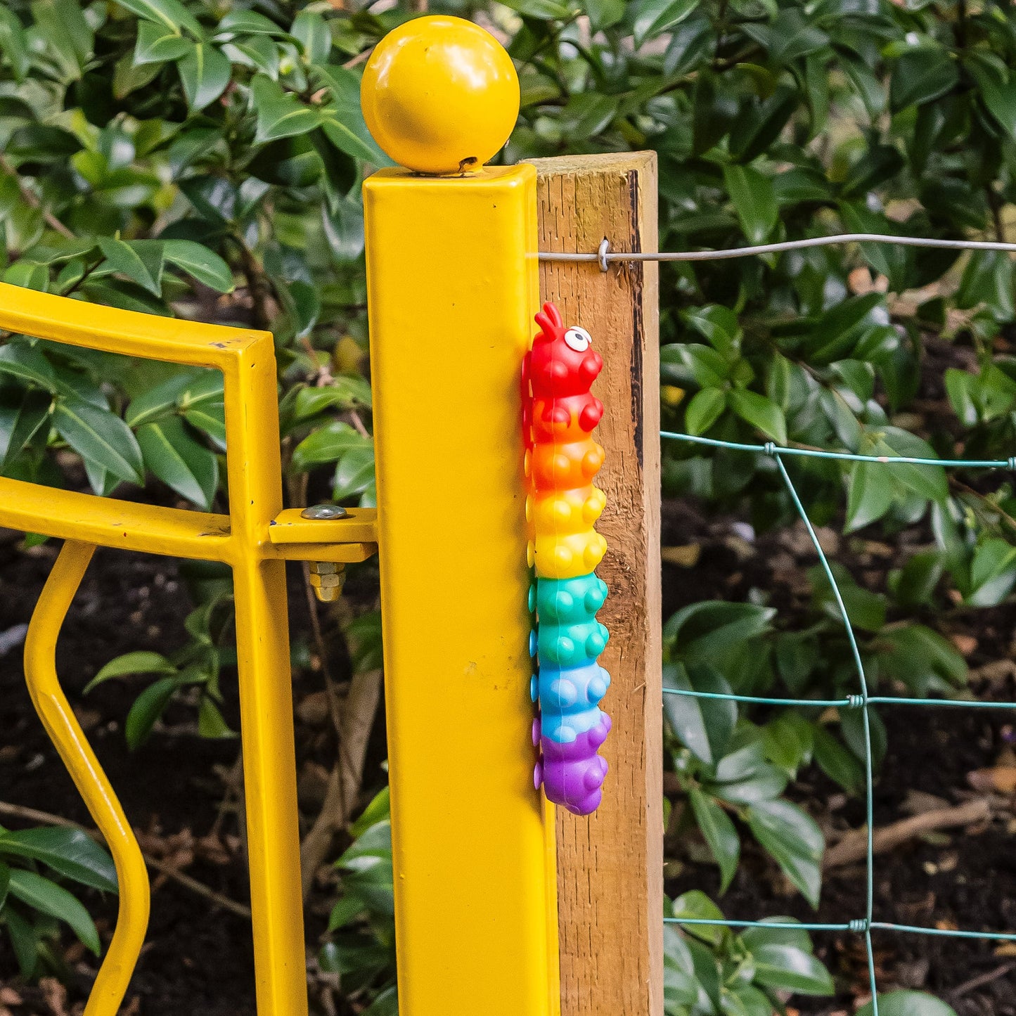 CHENILLE ARC-EN-CIEL À POUSSER ET À SUCCION LUMINEUX