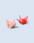 Set Sale e Pepe Origami