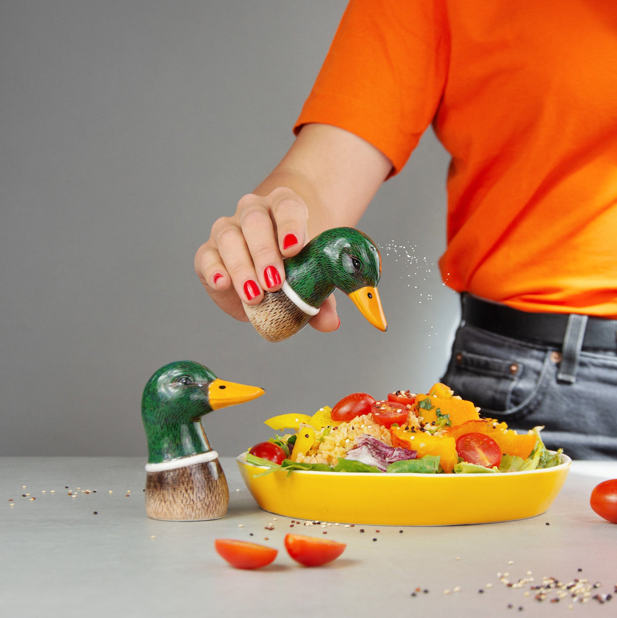 Salière et Poivrière Canard Colvert – Donkey Products