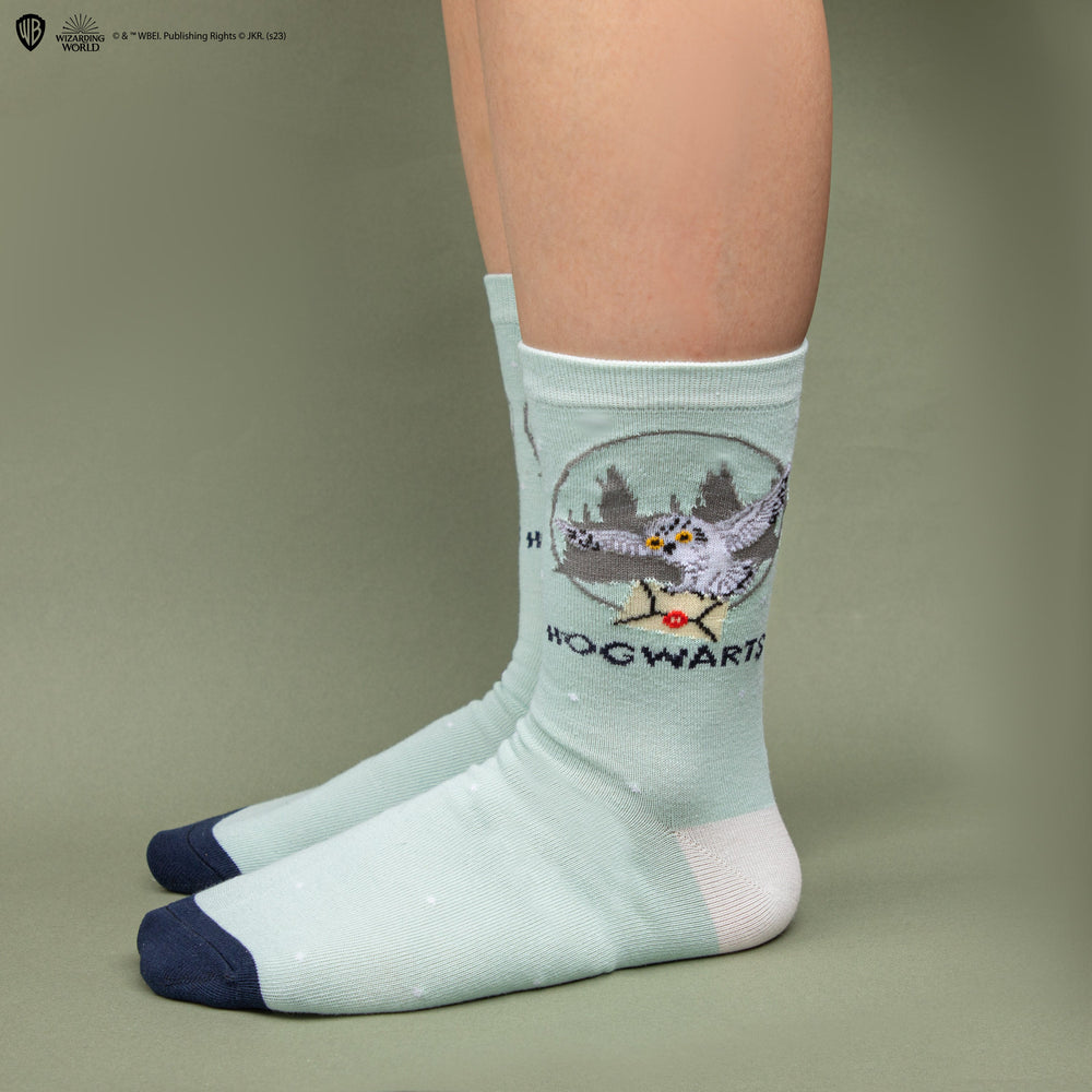 Lot de 3 paires de chaussettes Harry Potter - Hedwige