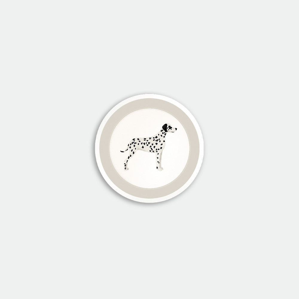 Dalmatian – Coaster