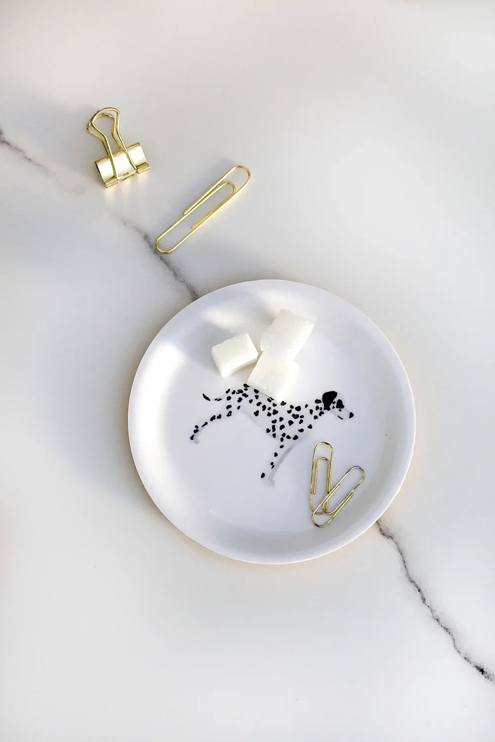 Dalmatian – Coaster