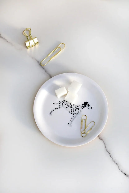 Dalmatian – Coaster