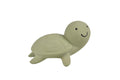 Mon Premier Animal Marin – Tortue