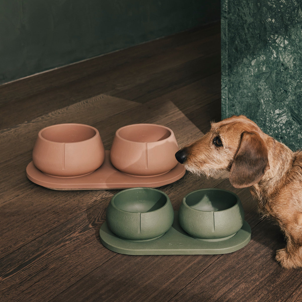 Plateau pour chiens – vue produit 11