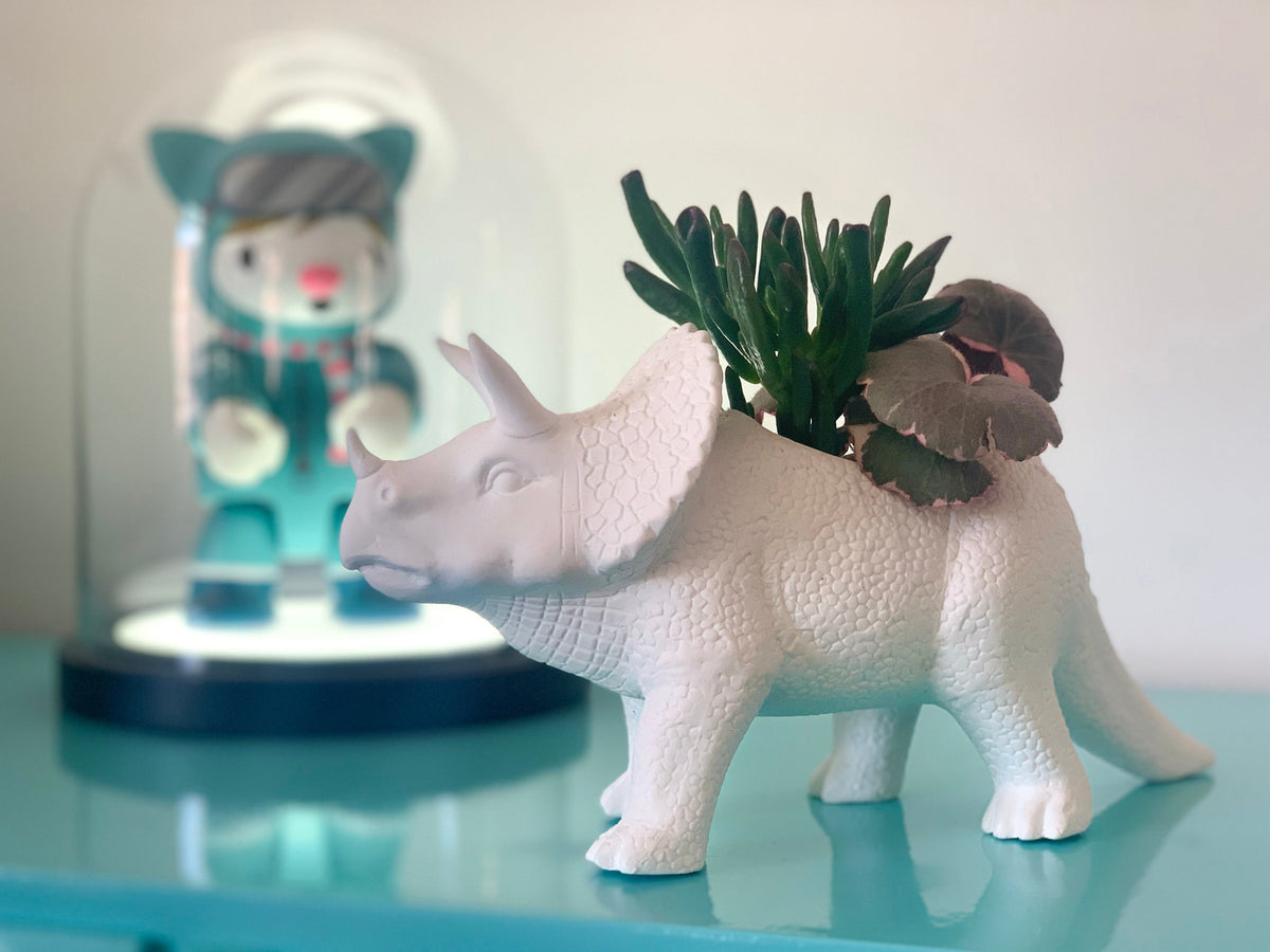Pot de Fleur Dinosaure Tricérapot