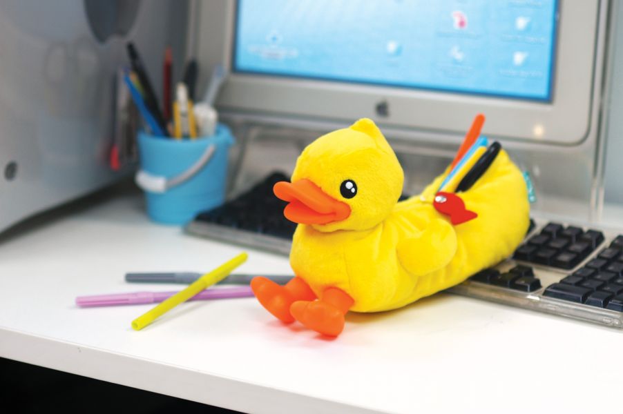 Etui met gele eend