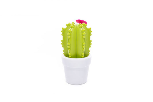 Veilleuse Cactus Fleur Dhink - OFCK.fr