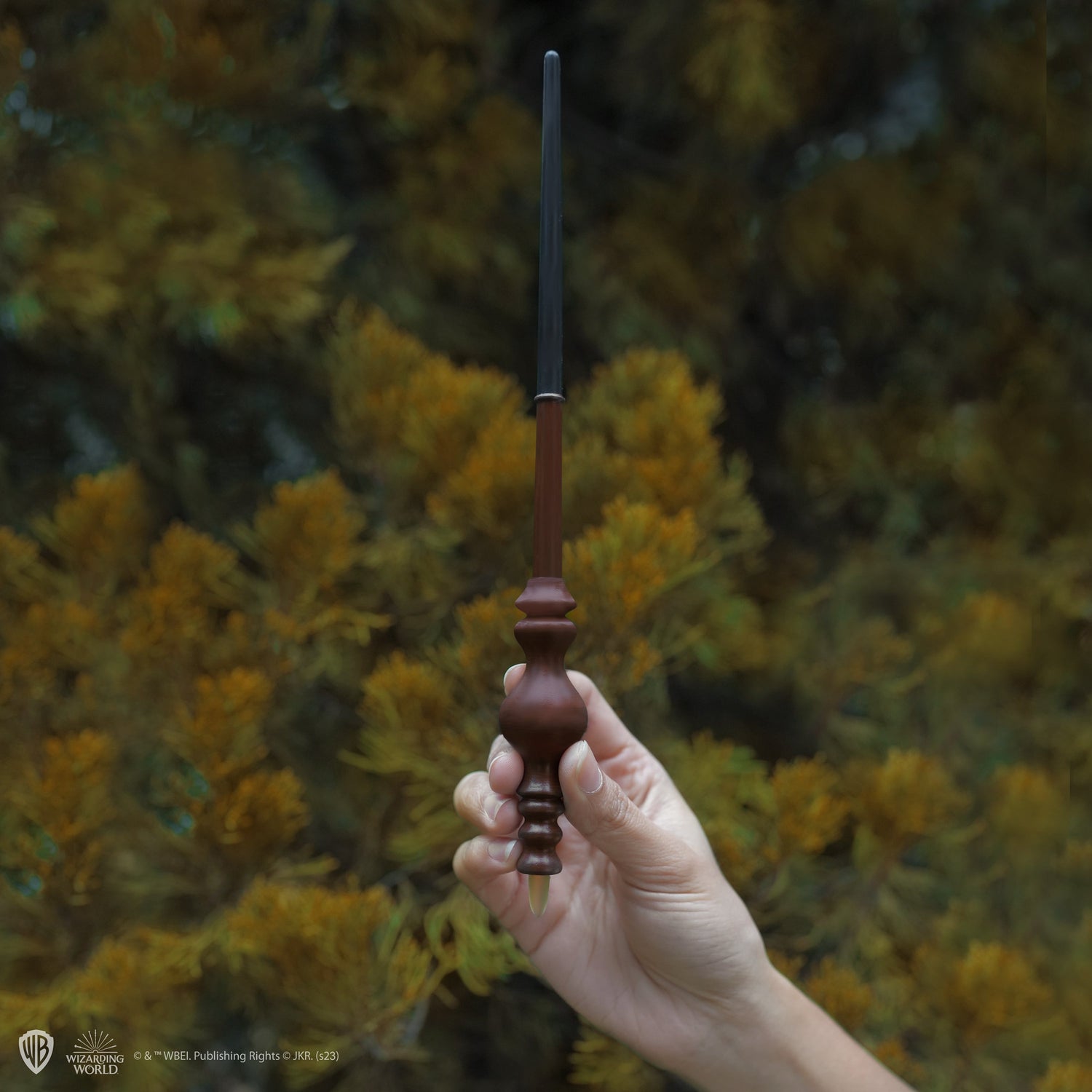 Minerva McGonagall