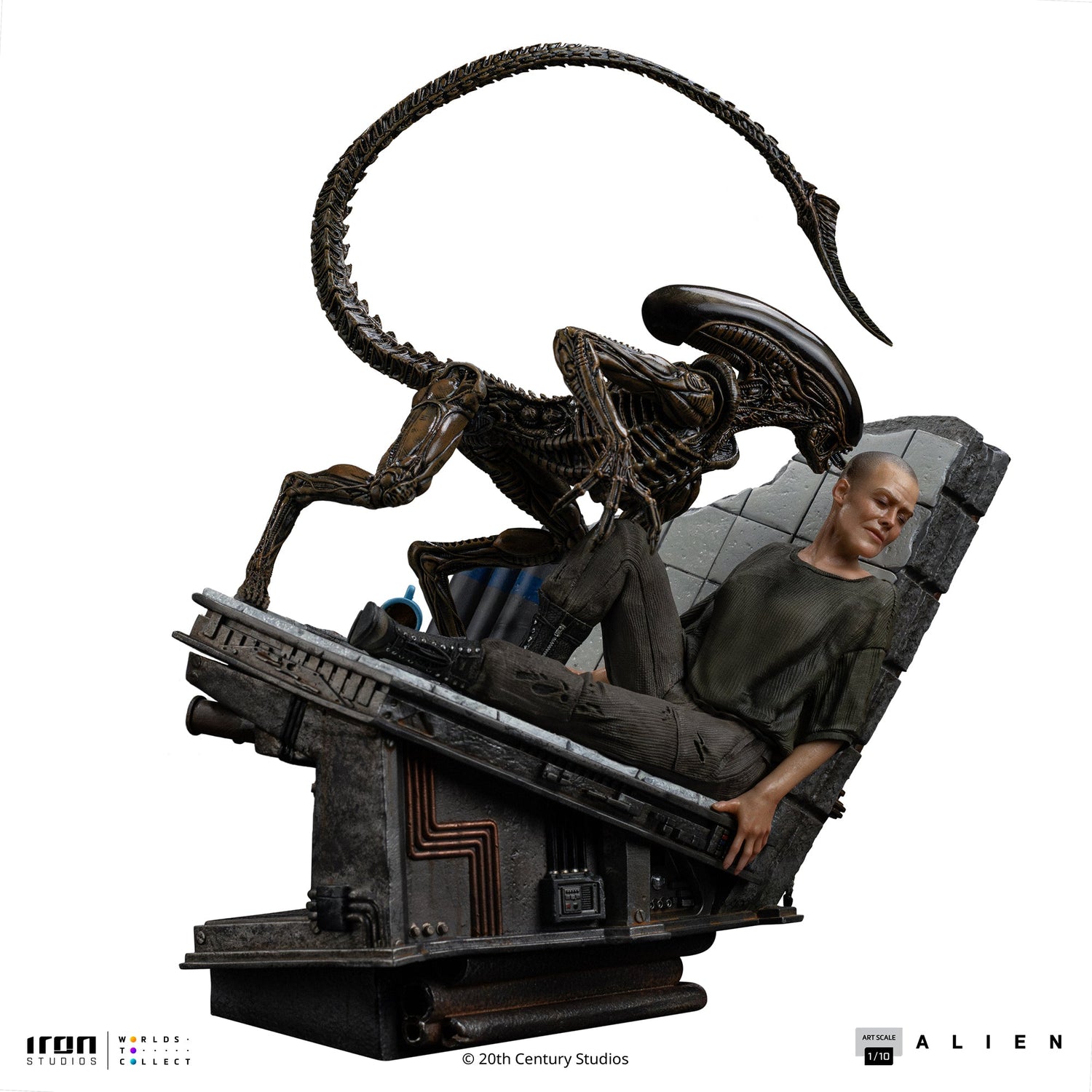 Predator