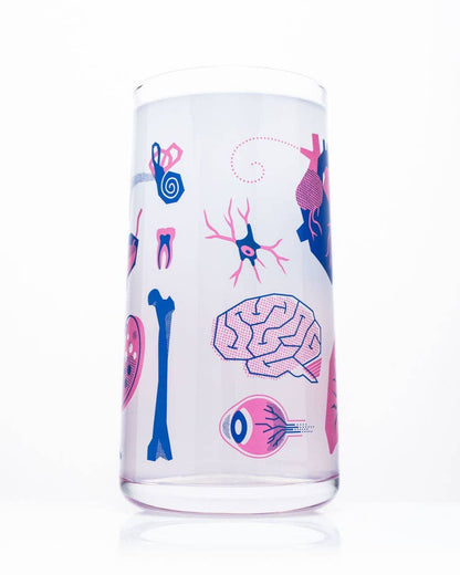 Verres à boire rétro – Anatomie – produit scientifique Cognitive Surplus EU, vue 2