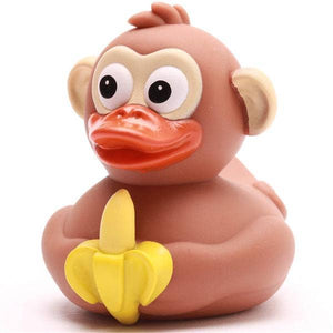 Canard Singe