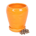 Pot de Fleurs Carotte avec Boules de Graines de Persil