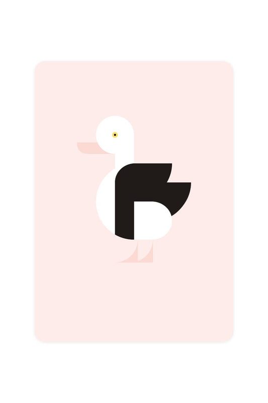 Carte postale avec Radjah Duck