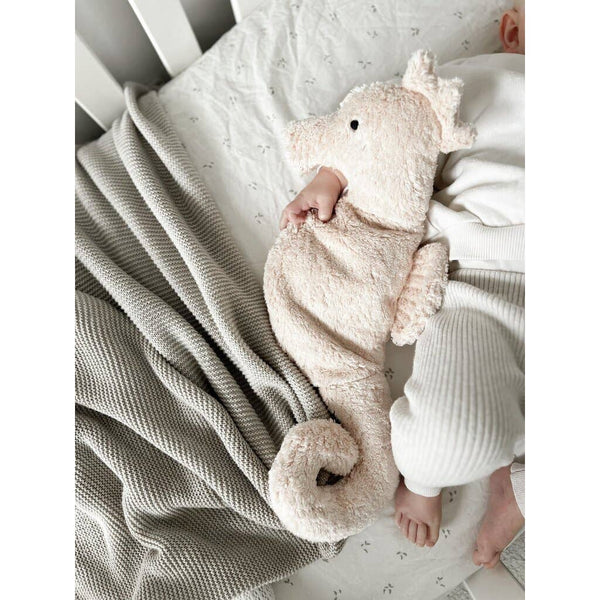 Small cuddly plush seahorse
