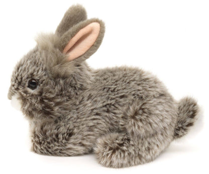 Conejo de angora, peluche tumbado (gris)
