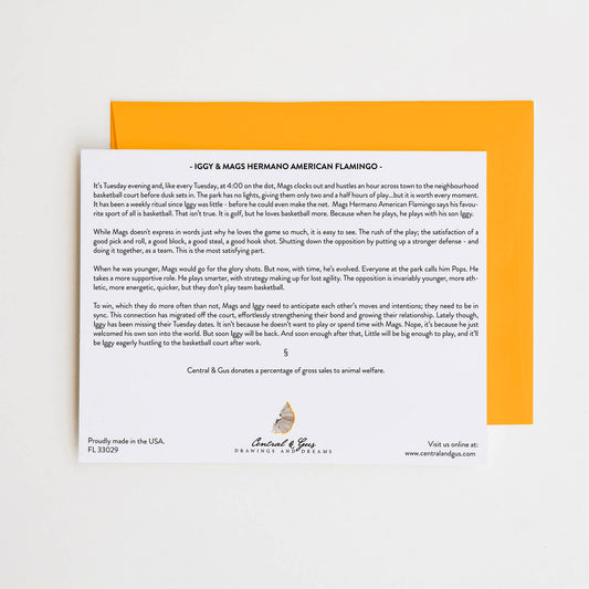 Tarjeta de dinero American Flamingo de Iggy &amp; Mags Hermano