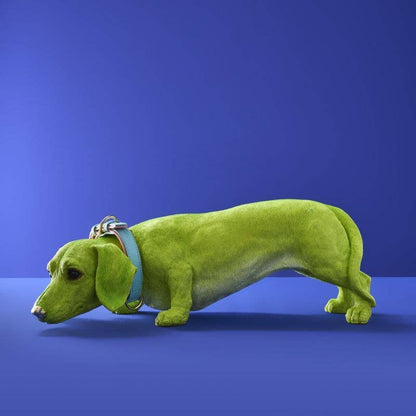 Dachshund Dog Wilfried M. Collar, Green Poly Resin