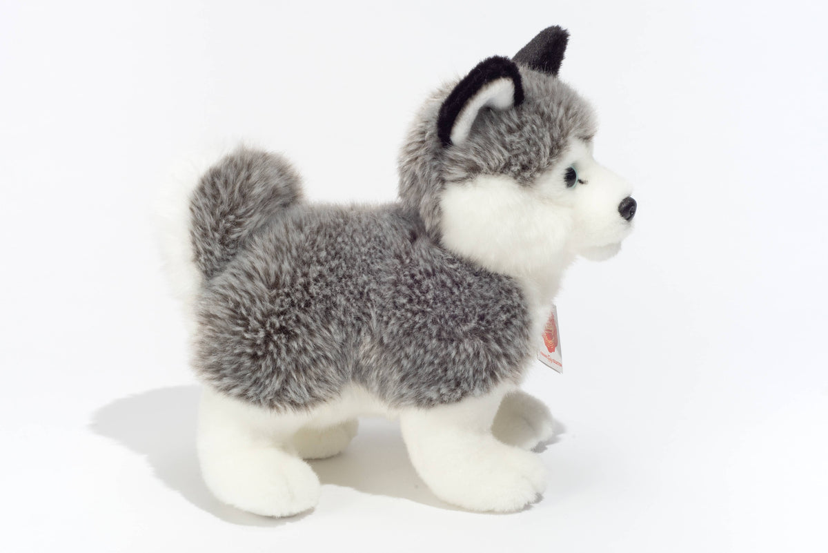 Peluche Husky Debout