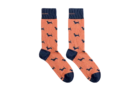 Chaussettes Teckels