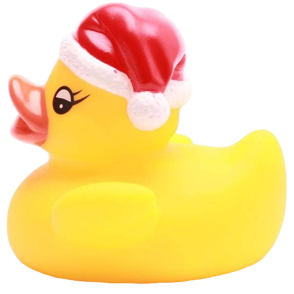Petit Canard de Noël