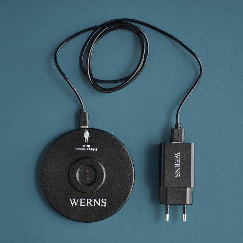 Lampe de table LED Hiding Rabbit, or