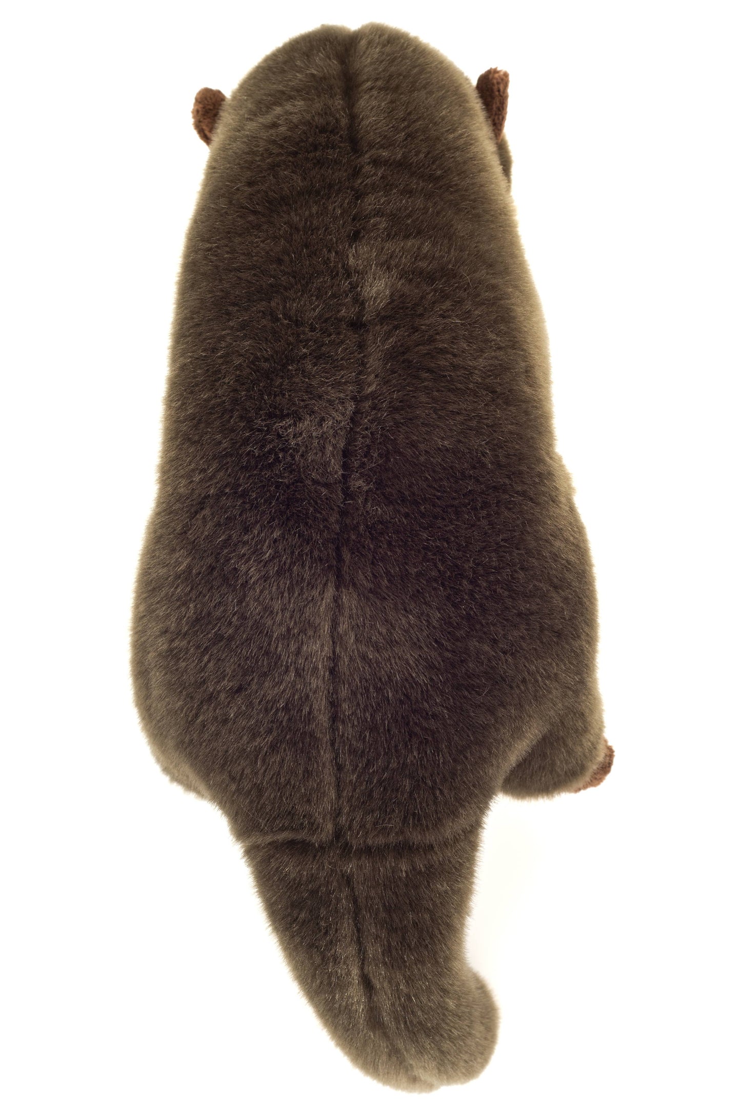 Peluche Loutre